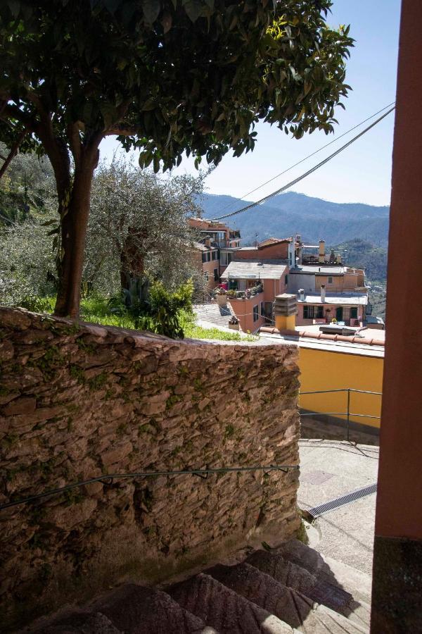 Le Case Di Petra Vignana Екстериор снимка